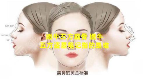 嫩牛五方磨骨 嫩牛五方盗墓笔记指的是谁